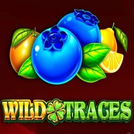 Wild Traces game by Amusnet Interactive – logo hosted on AllySpin Casino